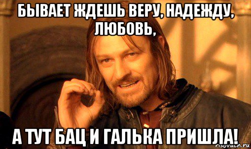 бывает ждешь веру, надежду, любовь, а тут бац и галька пришла!, Мем Нельзя просто так взять и (Боромир мем)