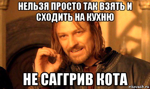 нельзя просто так взять и сходить на кухню не саггрив кота, Мем Нельзя просто так взять и (Боромир мем)