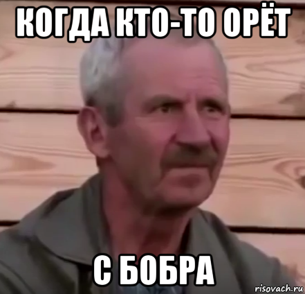 когда кто-то орёт с бобра
