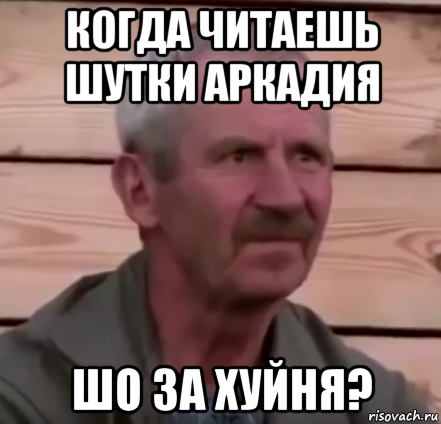 когда читаешь шутки аркадия шо за хуйня?