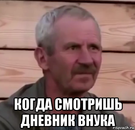  когда смотришь дневник внука
