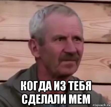  когда из тебя сделали мем