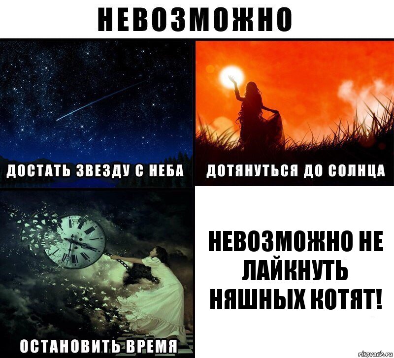 Невозможно не лайкнуть няшных котят!, Комикс Невозможно