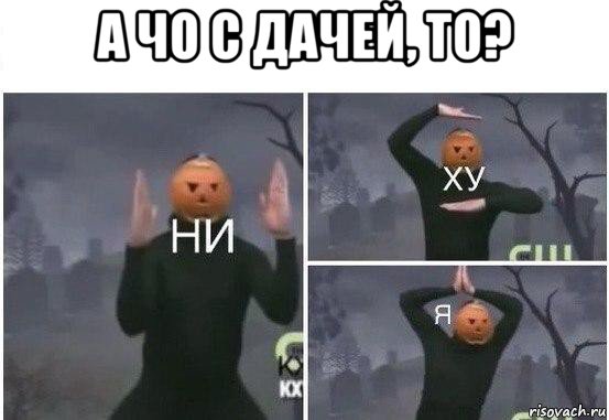 а чо с дачей, то? , Мем  Ни ху Я