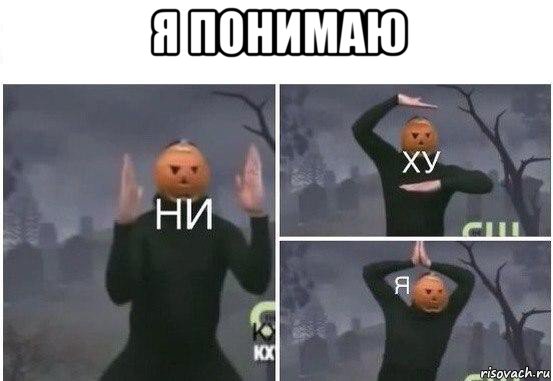 я понимаю , Мем  Ни ху Я