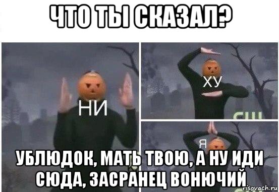 что ты сказал? ублюдок, мать твою, а ну иди сюда, засранец вонючий, Мем  Ни ху Я