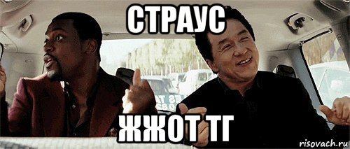 страус жжот тг, Мем Никому конечно