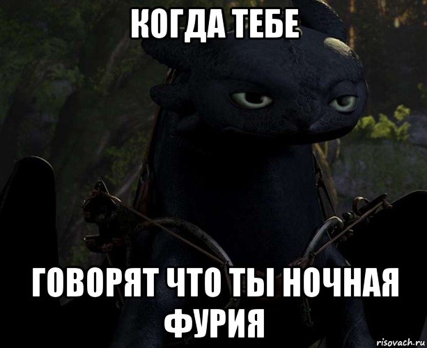 когда тебе говорят что ты ночная фурия