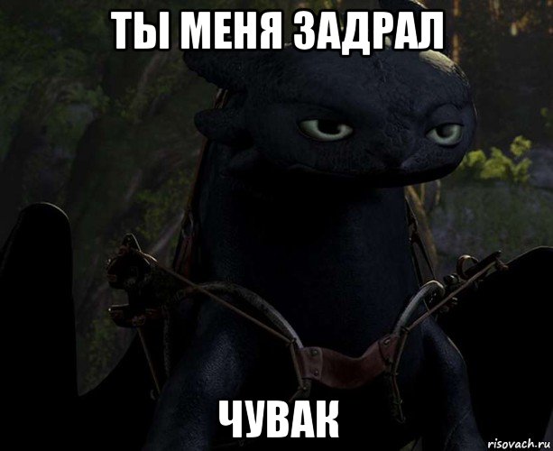 ты меня задрал чувак