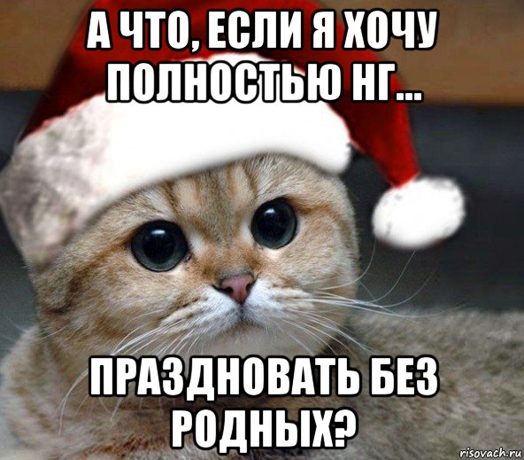 а что, если я хочу полностью нг... праздновать без родных?, Мем Новогодний искатель