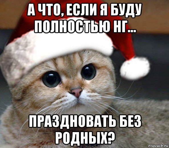 а что, если я буду полностью нг... праздновать без родных?, Мем Новогодний искатель