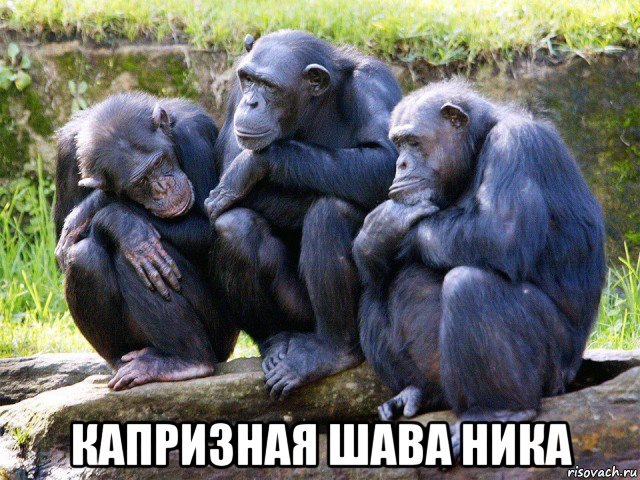  капризная шава ника