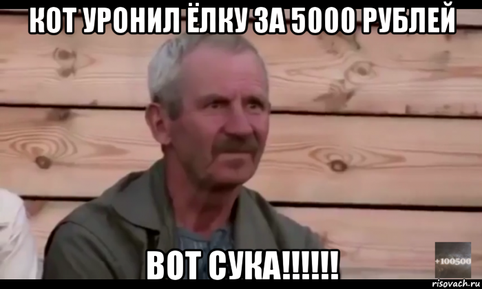 кот уронил ёлку за 5000 рублей вот сука!!!!!!, Мем  Охуевающий дед