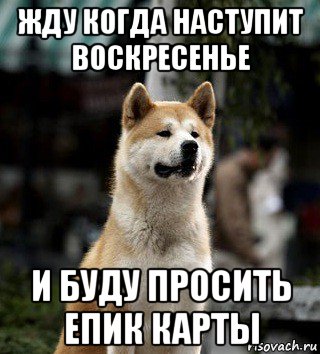 жду когда наступит воскресенье и буду просить епик карты, Мем ОК жду