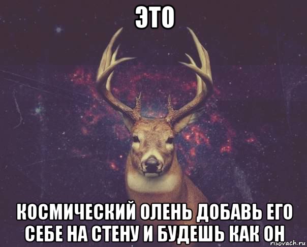 это космический олень добавь его себе на стену и будешь как он, Мем  олень наивный