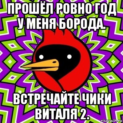 прошёл ровно год у меня борода. встречайте чики виталя 2., Мем Омская птица