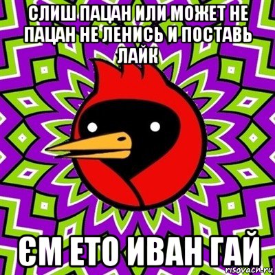 слиш пацан или может не пацан не ленись и поставь лайк єм ето иван гай, Мем Омская птица