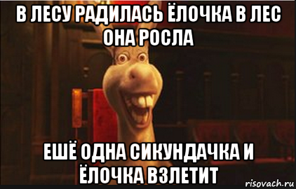 в лесу радилась ёлочка в лес она росла ешё одна сикундачка и ёлочка взлетит, Мем Осел из Шрека