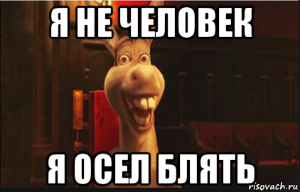 я не человек я осел блять