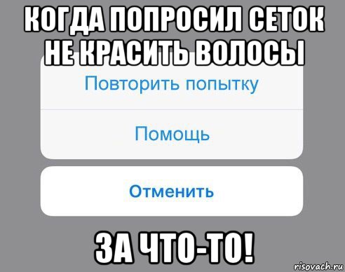 когда попросил сеток не красить волосы за что-то!, Мем Отменить Помощь Повторить попытку