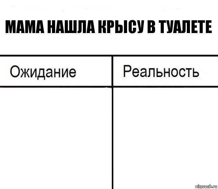 Мама нашла крысу в туалете  , Комикс  Ожидание - реальность