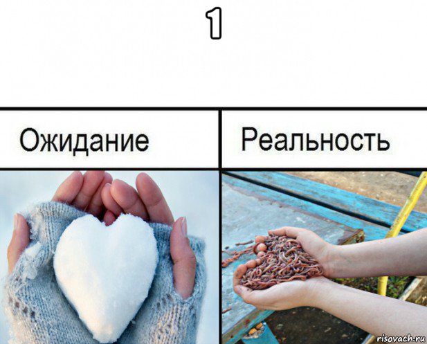 1 , Мем Ожидание-реальность