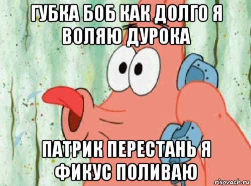 губка боб как долго я воляю дурока патрик перестань я фикус поливаю