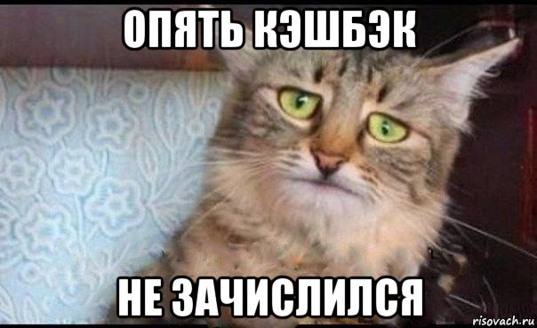 опять кэшбэк не зачислился