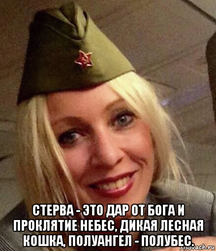  стерва - это дар от бога и проклятие небес, дикая лесная кошка, полуангел - полубес.