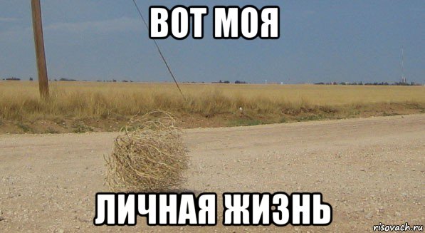 вот моя личная жизнь, Мем перекати-поле одиночество