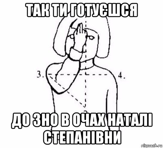 так ти готуєшся до зно в очах наталі степанівни, Мем  Перекреститься