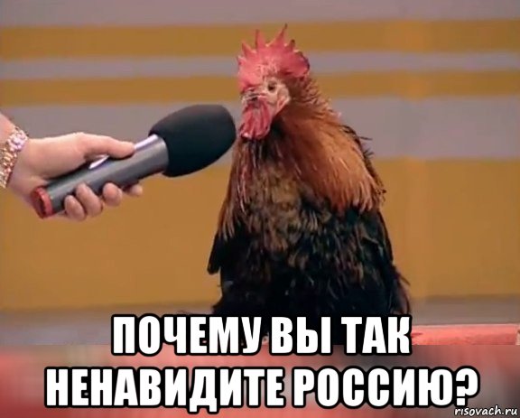  почему вы так ненавидите россию?