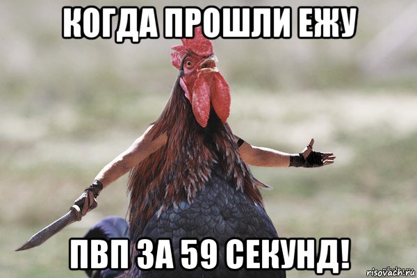 когда прошли ежу пвп за 59 секунд!, Мем Петух
