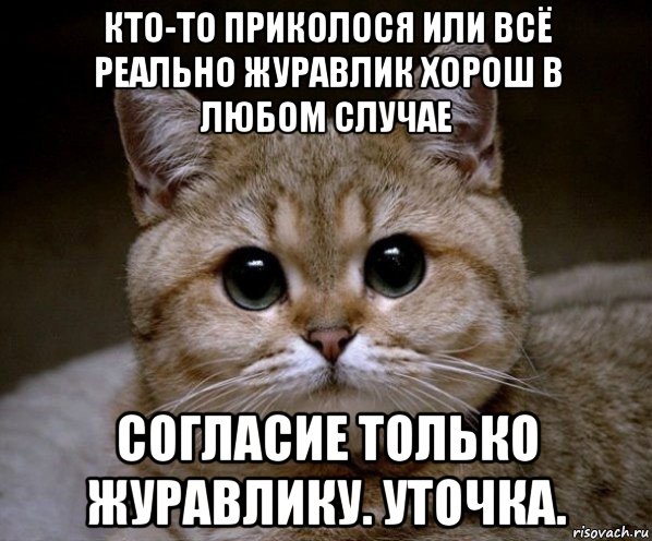 кто-то приколося или всё реально журавлик хорош в любом случае согласие только журавлику. уточка., Мем Пидрила Ебаная