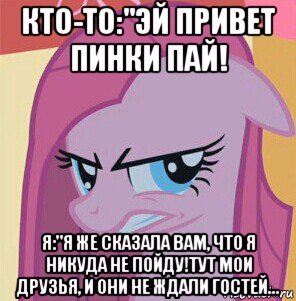 кто-то:"эй привет пинки пай! я:"я же сказала вам, что я никуда не пойду!тут мои друзья, и они не ждали гостей..., Мем Пинкамина