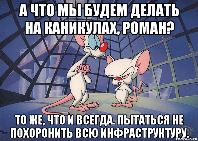 а что мы будем делать на каникулах, роман? то же, что и всегда. пытаться не похоронить всю инфраструктуру., Мем ПИНКИ И БРЕЙН