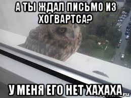 а ты ждал письмо из хогвартса? у меня его нет хахаха, Мем письмо из хогвартса