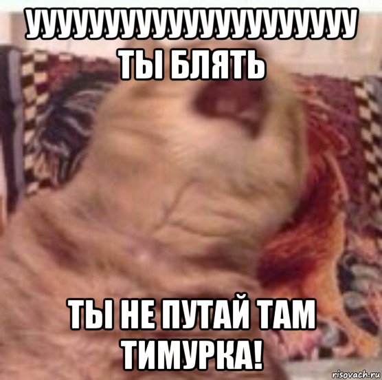 ууууууууууууууууууууу ты блять ты не путай там тимурка!, Мем Pisos