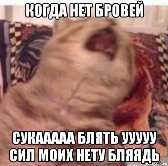 когда нет бровей сукааааа блять ууууу сил моих нету бляядь