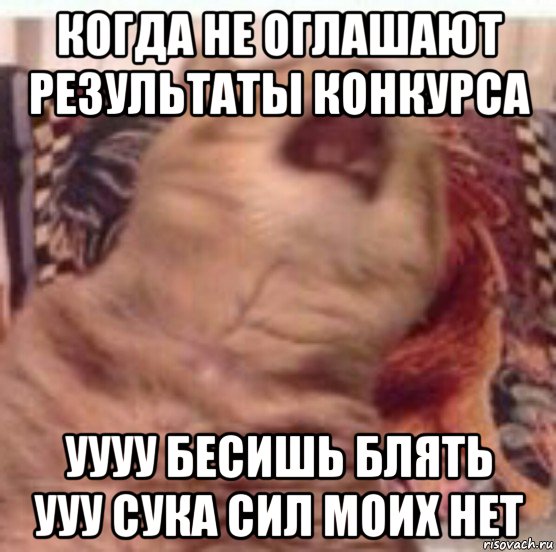 когда не оглашают результаты конкурса уууу бесишь блять ууу сука сил моих нет