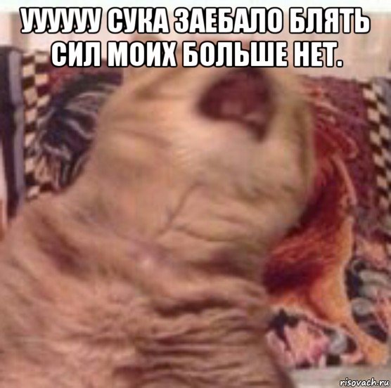 уууууу сука заебало блять сил моих больше нет. , Мем Pisos