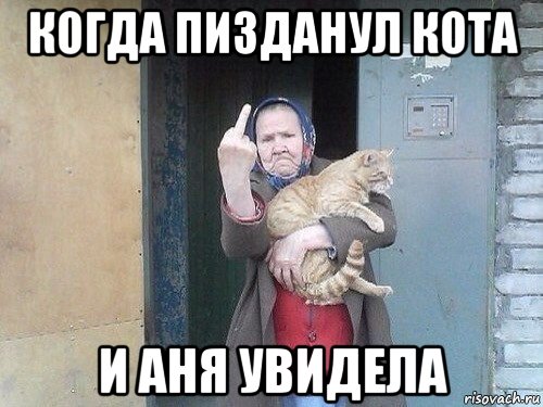 когда пизданул кота и аня увидела, Мем Пиздосики