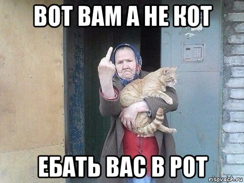вот вам а не кот ебать вас в рот, Мем Пиздосики