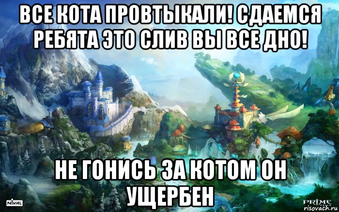 все кота провтыкали! сдаемся ребята это слив вы все дно! не гонись за котом он ущербен