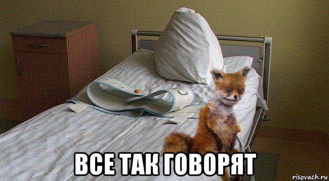  все так говорят