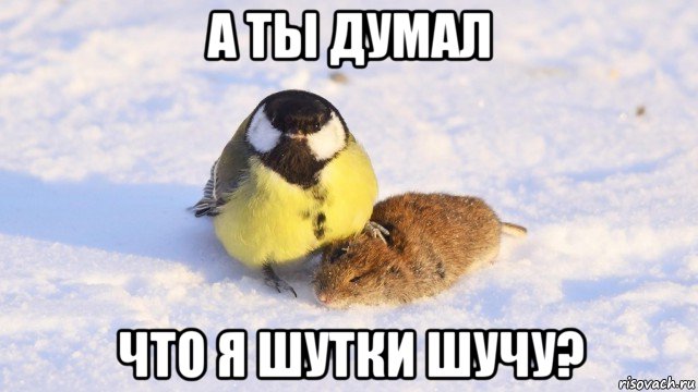 а ты думал что я шутки шучу?