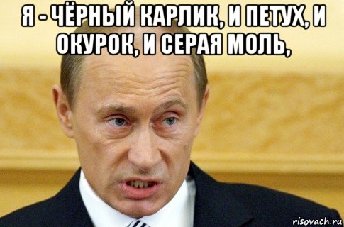 я - чёрный карлик, и петух, и окурок, и серая моль, , Мем путин