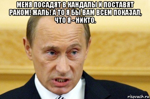 меня посадят в кандалы и поставят раком! жаль! а то я бы вам всем показал, что я - никто. , Мем путин