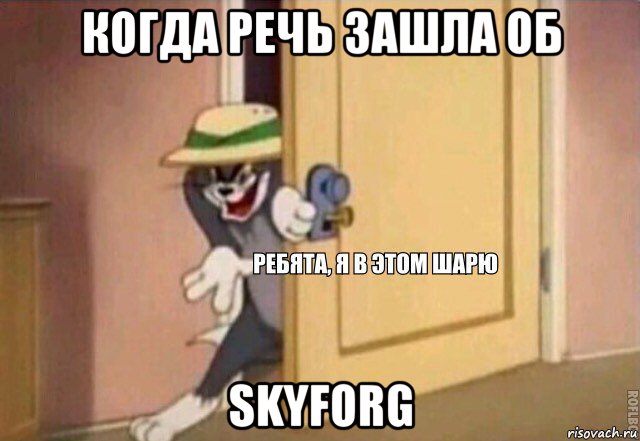 когда речь зашлa об skyforg, Мем    Ребята я в этом шарю