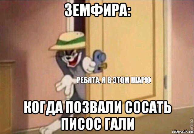 земфира: когда позвали сосать писос гали, Мем    Ребята я в этом шарю